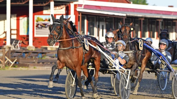 Foto: MALIN ALBINSSON / TR BILD