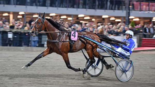 Foto: MALIN ALBINSSON / TR BILD