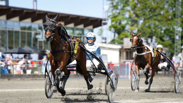 Foto: MALIN ALBINSSON / TR BILD