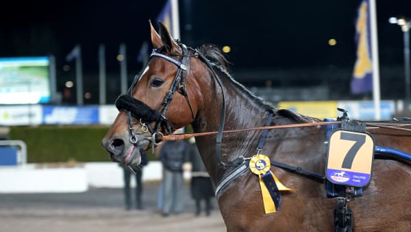 Foto: LARS JAKOBSSON / TR BILD