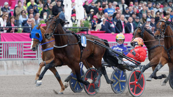 Foto: LENA EMMOTH / TR BILD