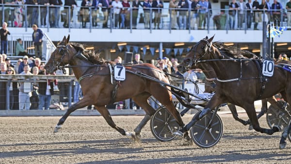 Foto: MALIN ALBINSSON / TR BILD