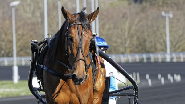 Foto: Jean-Luc Lamaère/Le Trot