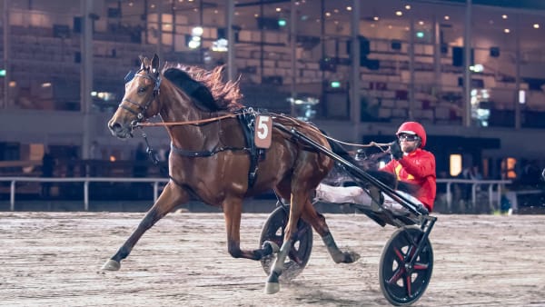 Foto: MIKAEL ROSENQUIST / TR BILD