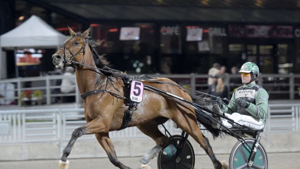 Foto: LARS JAKOBSSON / TR BILD