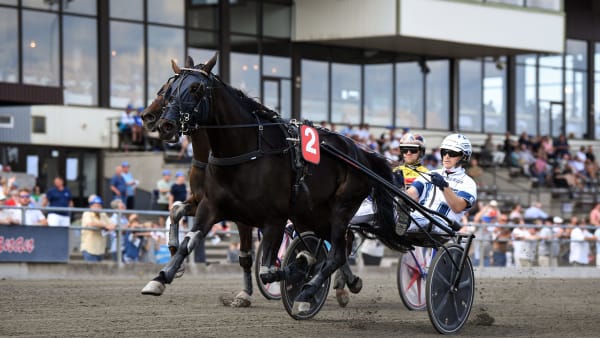 Foto: MALIN ALBINSSON / TR BILD