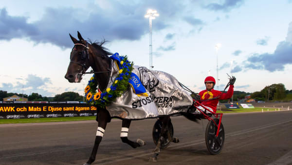 Foto: MIKAEL ROSENQUIST / TR BILD