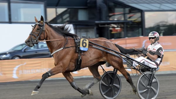 Foto: LARS JAKOBSSON / TR BILD