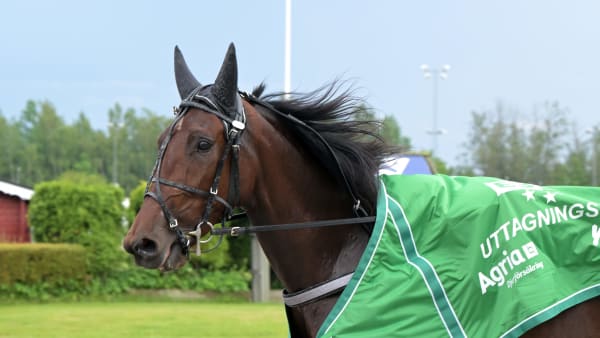 Foto: LARS JAKOBSSON / TR BILD