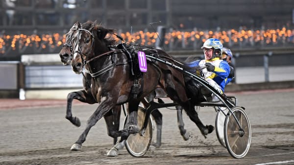 Foto: MALIN ALBINSSON / TR BILD