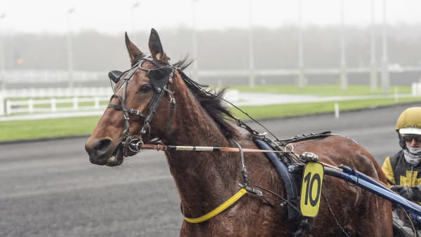 Foto: LARS JAKOBSSON / TR BILD