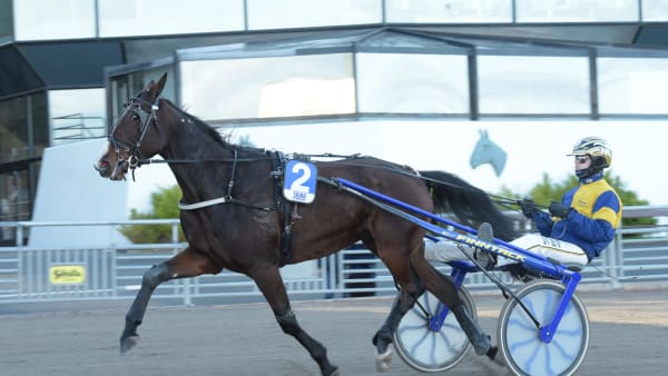 Foto: LARS JAKOBSSON / TR BILD