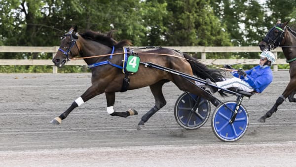 Foto: LENA EMMOTH / TR BILD