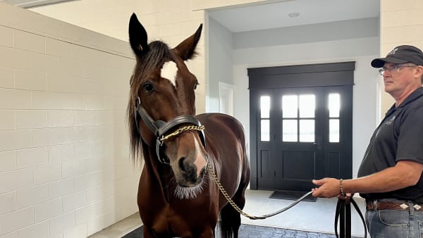 Foto: MATTIAS HOLMGREN/TR BILD