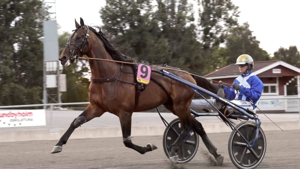 Foto: LARS JAKOBSSON / TR BILD