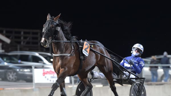 Foto: LARS JAKOBSSON / TR BILD