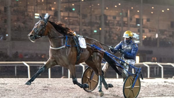 Foto: MIKAEL ROSENQUIST / TR BILD