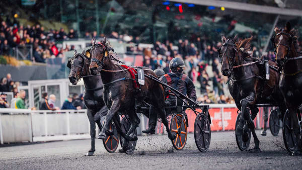 Foto: ALEX ZONA/TROTTEUR FRANCAIS
