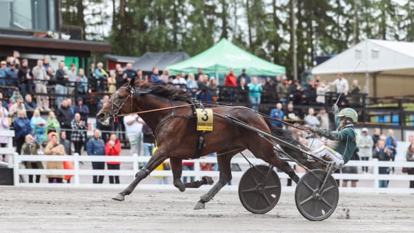 Foto: Maisa Hyttinen/Suomen Hippos.