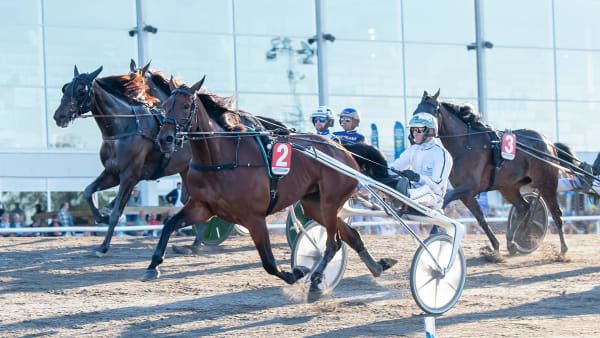 Foto: MIKAEL ROSENQUIST / TR BILD