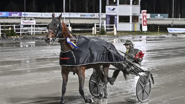 Foto: JENNY REHNMAN / TR BILD