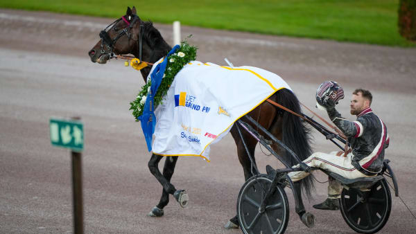 Foto: THOMAS BLOMQVIST / TR BILD