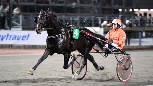 Foto: MALIN ALBINSSON / TR BILD