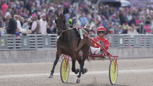 Foto: THOMAS BLOMQVIST / TR BILD