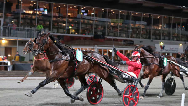 Foto: MARIA HOLMÉN / TR BILD