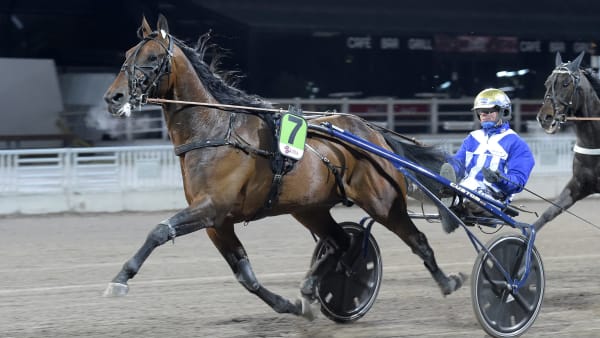 Inbjudna Hastar Till Elitloppet 2021 Senaste Nyheterna Om Trav Travronden