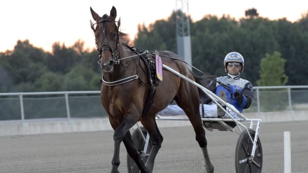 Foto: LARS JAKOBSSON / TR BILD