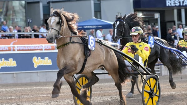 Foto: LARS JAKOBSSON / TR BILD