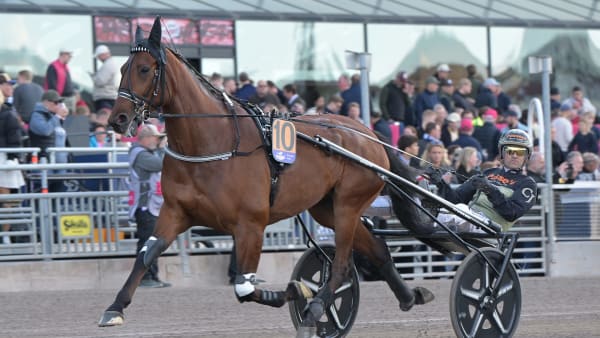 Foto: LARS JAKOBSSON / TR BILD