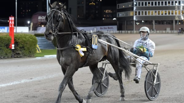 Foto: LARS JAKOBSSON / TR BILD