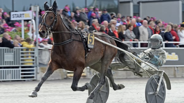 Foto: LARS JAKOBSSON / TR BILD