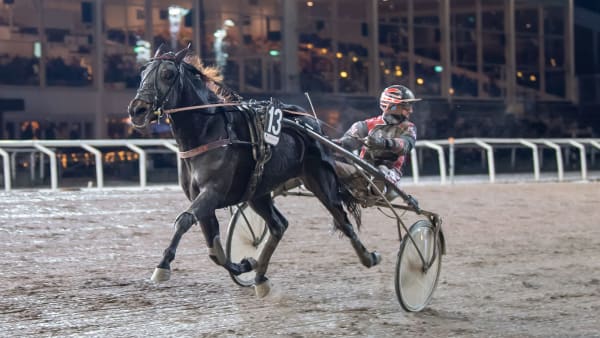 Foto: MIKAEL ROSENQUIST / TR BILD