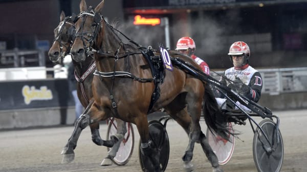 Foto: LARS JAKOBSSON / TR BILD