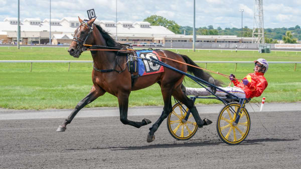 David Miller med Green Manalishi under hambletoniandagen på Meadowlands 2018.