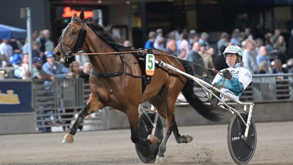 Foto: LARS JAKOBSSON / TR BILD