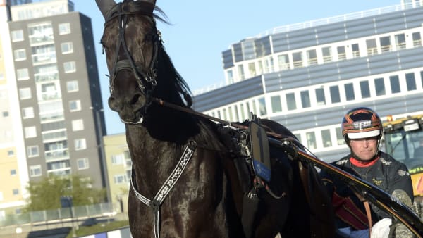 Foto: LARS JAKOBSSON / TR BILD