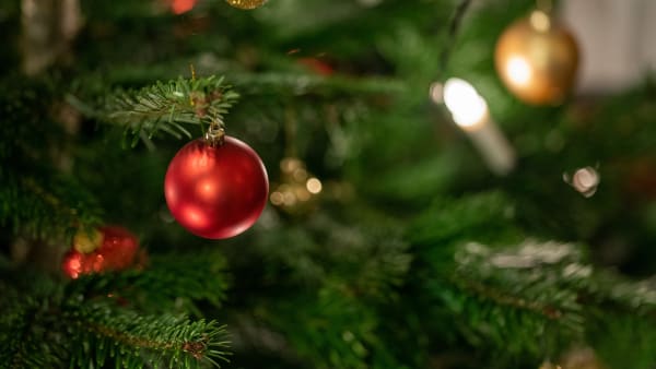 Foto: THOMAS BLOMQVIST / TR BILD