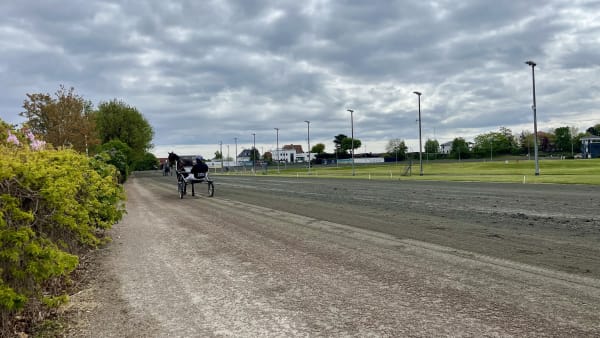 Foto: MATTIAS HOLMGREN/TR BILD