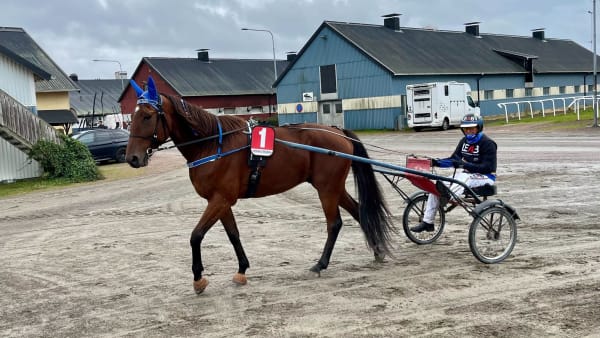 Foto: Mattias Holmgren/TR Bild.