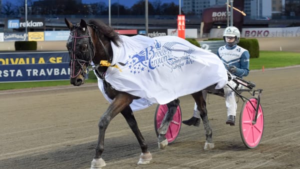 Foto: LARS JAKOBSSON / TR BILD