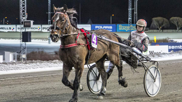 Foto: SVANTHE HARSTRÖM