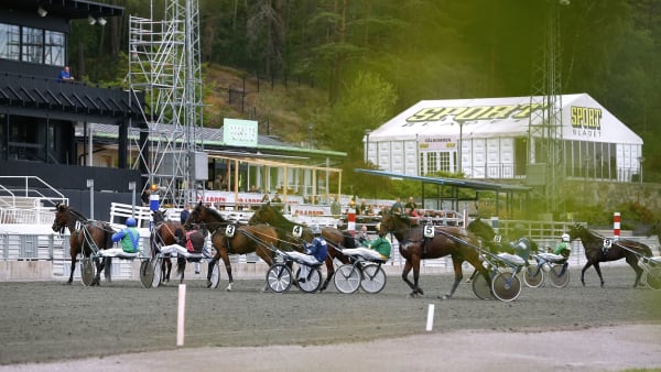Foto: MARIA HOLMÉN/TR BILD