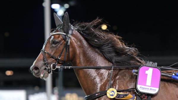 Foto: LARS JAKOBSSON / TR BILD