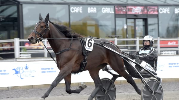 Foto: LARS JAKOBSSON / TR BILD