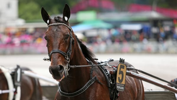 Foto: MATILDA ÖHRMAN / TR BILD