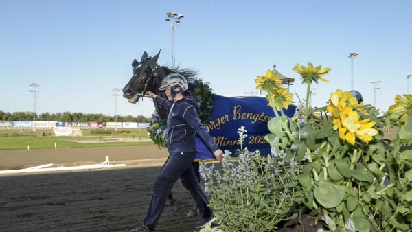 Foto: LARS JAKOBSSON / TR BILD